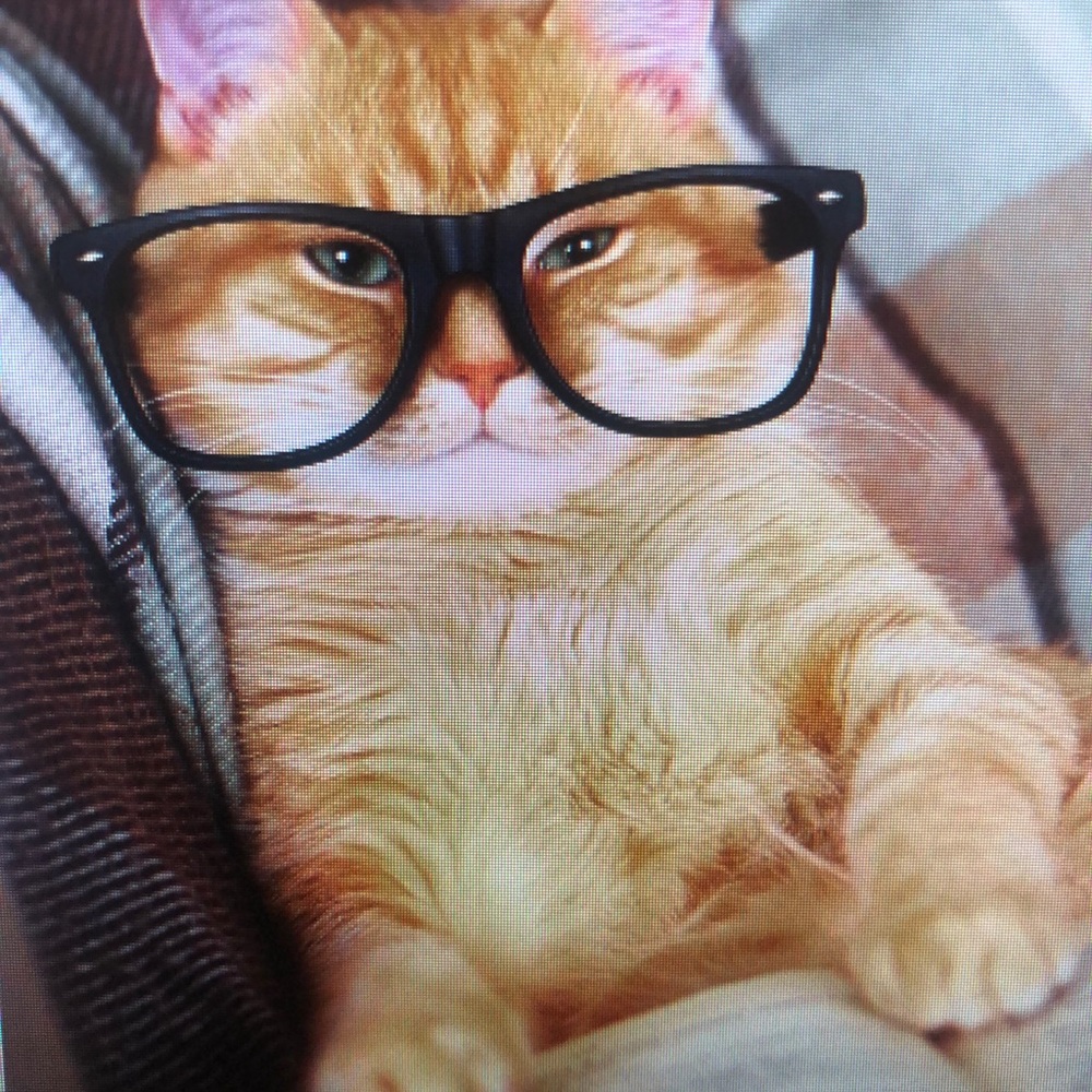 Meet your Posher, Erika